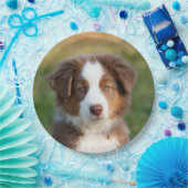 Australisch puppy portret van Shepherd, gelukkig f Papieren Bordje (Feest)