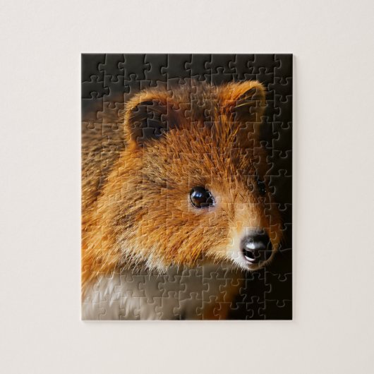 Australisch Quokka Portret, puzzel (Verticaal)