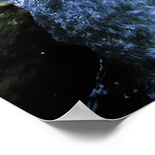 Australisch regenwoud poster (Hoek)