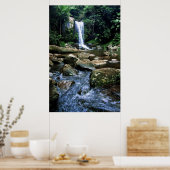 Australisch regenwoud poster (Keuken)