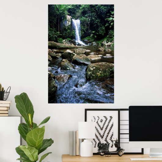 Australisch regenwoud poster (Thuiskantoor)