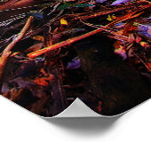 Australisch regenwoud poster (Hoek)