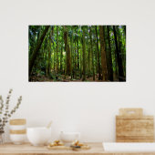 Australisch regenwoud poster (Keuken)