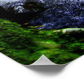 Australisch regenwoud poster (Hoek)