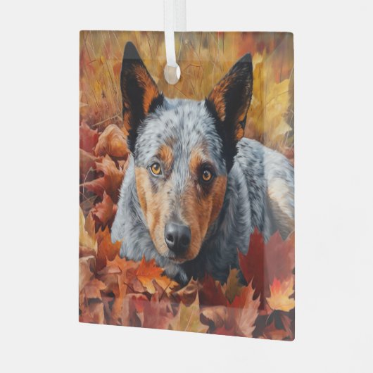 Australisch rundvee in herfst laat Herfst inspirer Glas Ornament (Voorkant links)