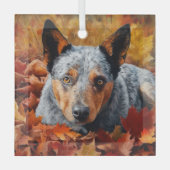 Australisch rundvee in herfst laat Herfst inspirer Glas Ornament (Voorkant)