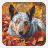Australisch rundvee in herfst laat Herfst inspirer Vierkante Sticker (Voorkant)