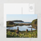 Australisch Scene-Briefkaart Briefkaart (Voorkant / Achterkant)
