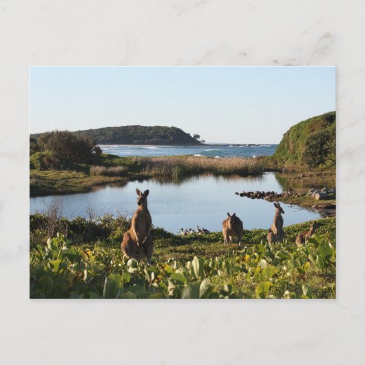 Australisch Scene-Briefkaart Briefkaart (Voorkant)