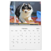 Australisch Shepherd Agility Calendar Kalender (Feb 2027)