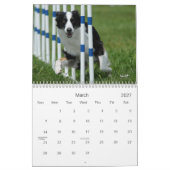Australisch Shepherd Agility Calendar Kalender (Mar 2027)
