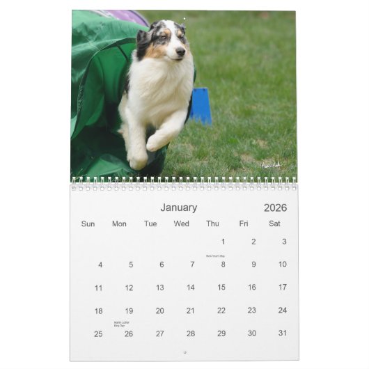 Australisch Shepherd Agility Calendar Kalender (Jan 2026)
