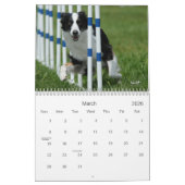 Australisch Shepherd Agility Calendar Kalender (Mar 2026)