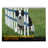 Australisch Shepherd Agility Calendar Kalender (Hoes)