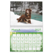 Australisch Shepherd Calendar Kalender (Mar 2027)