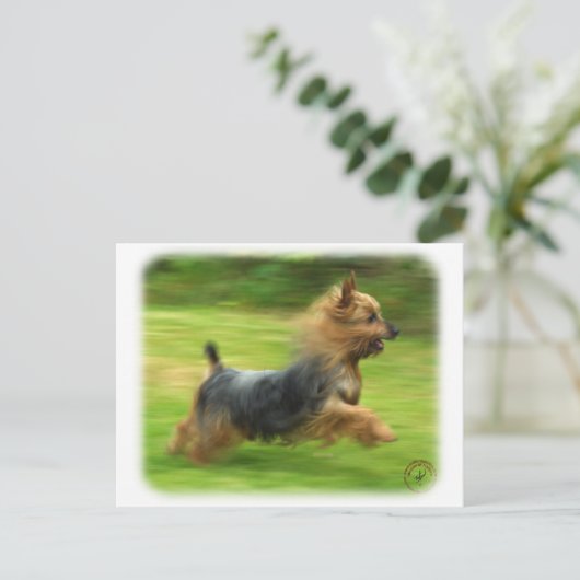 Australisch Silky Terrier-ontwerp Briefkaart (Staand voorkant)
