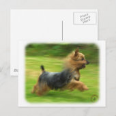 Australisch Silky Terrier-ontwerp Briefkaart (Voorkant / Achterkant)
