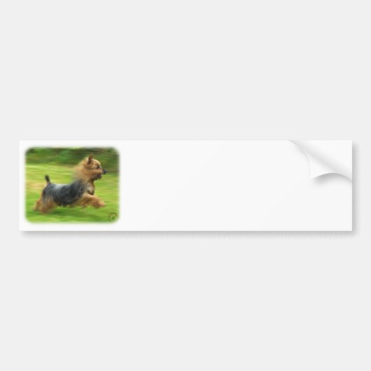 Australisch Silky Terrier-ontwerp Bumpersticker (Voorkant)