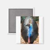 Australisch Southern Cassowary Magneet (Voorkant / Achterkant)