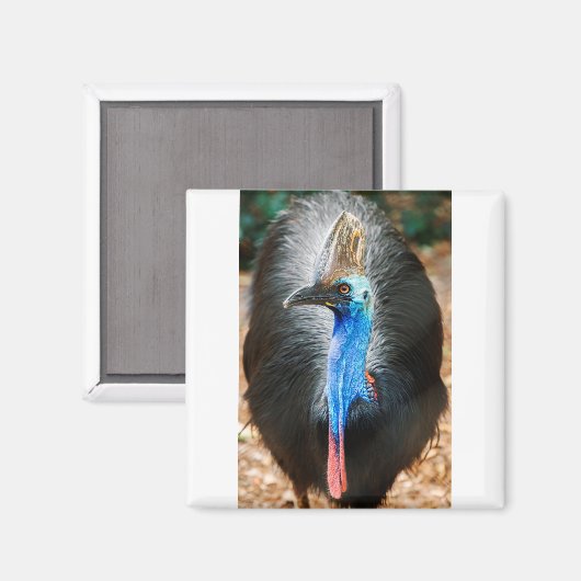 Australisch Southern Cassowary Magneet (Voorkant / Achterkant)