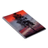 Australisch stormachtig notitieboek (Rechterzijde)