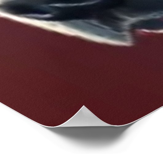 Australisch stumpy Tail Cattle Dog - Dog Portret Poster (Hoek)