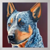 Australisch stumpy Tail Cattle Dog - Dog Portret Poster (Voorkant)