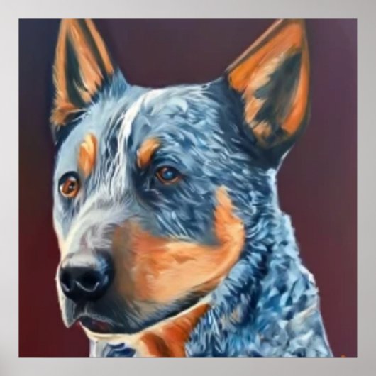 Australisch stumpy Tail Cattle Dog - Dog Portret Poster (Voorkant)