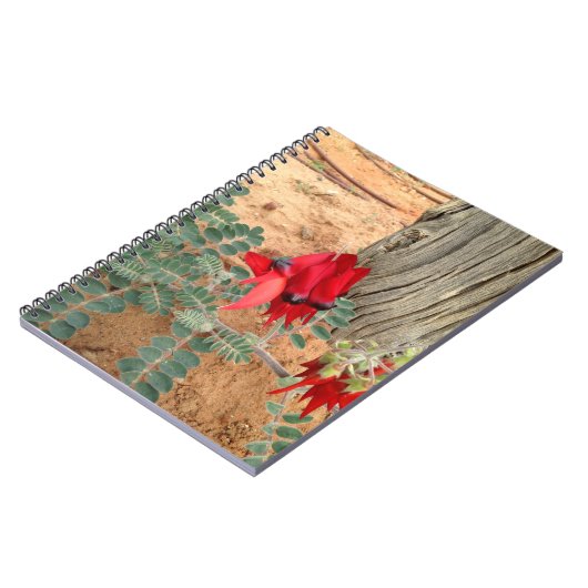Australisch Sturt's Desert Pea notebook Notitieboek (Linkerzijde)
