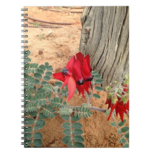 Australisch Sturt's Desert Pea notebook Notitieboek