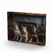 Australisch vee bij de open haard Kerstmis Fotoblokken (Rechts)