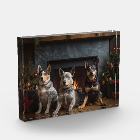 Australisch vee bij de open haard Kerstmis Fotoblokken (Links)