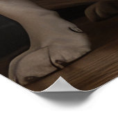 Australisch vee bij de open haard Kerstmis Poster (Hoek)