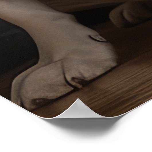 Australisch vee bij de open haard Kerstmis Poster (Hoek)