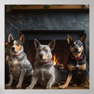 Australisch vee bij de open haard Kerstmis Poster