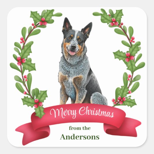 Australisch vee Hond Holly Banner Kerstmis Vierkante Sticker (Voorkant)