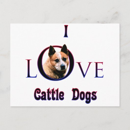 Australisch vee hond ik hou briefkaart (Voorkant)