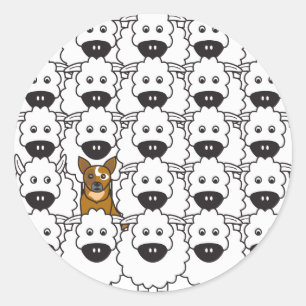 Australisch vee hond in het schaap ronde sticker