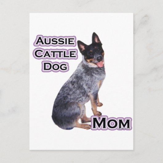 Australisch vee hond mam 4 briefkaart (Voorkant)