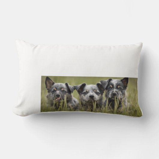 Australisch vee hond puppy blauwe heler gooien kussen (Voorkant)