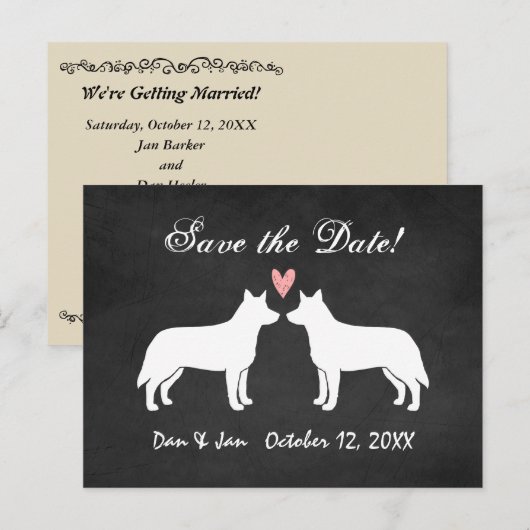 Australisch vee honden bruiloft Save the Date Aankondigingskaart (Voorkant / Achterkant)