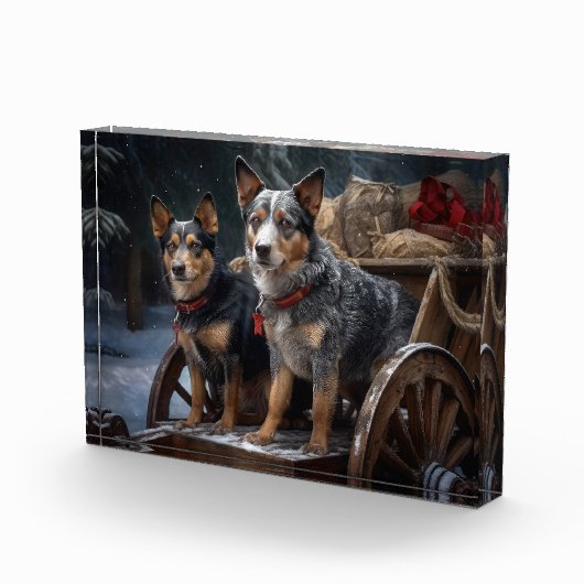 Australisch vee Sneeuwslee Kerstdecoratie Fotoblokken (Rechts)