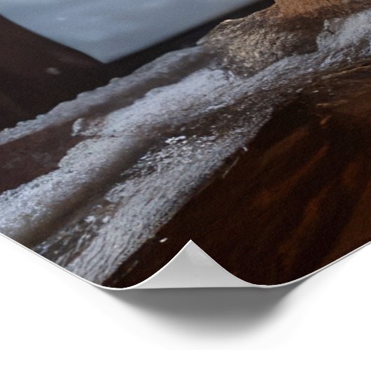 Australisch vee Sneeuwslee Kerstdecoratie Poster (Hoek)