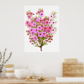 Australisch Waxflower Bouquet Poster (Keuken)