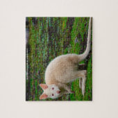 Australische Albino Kangoeroe Legpuzzel (Verticaal)