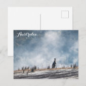 Australische Australische Kangaroo Travel Foto Briefkaart (Voorkant / Achterkant)