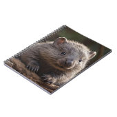Australische Baby Dieren De Wombat, Notitieboek (Linkerzijde)