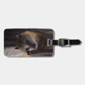 Australische bat bagagelabel (Voorkant horizontaal)