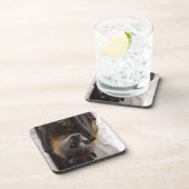 Australische bat bier onderzetter (Rechterzijde)