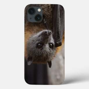Australische bat iPhone 13 hoesje